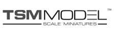TSM Model